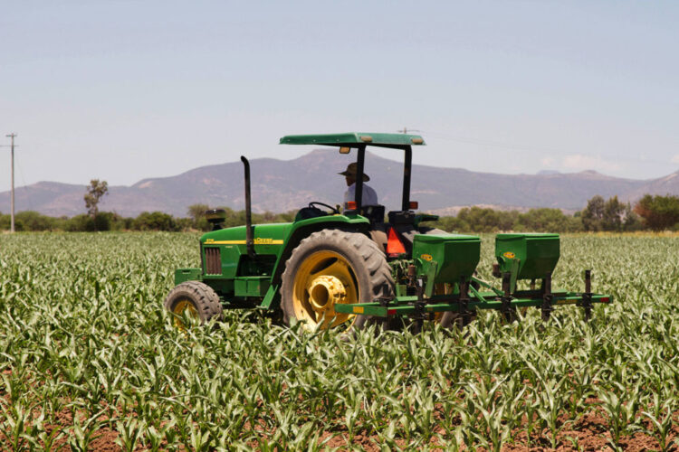 Demandan agricultores de Tamaulipas reactivar créditos de avío, seguro y cobertura de cosechas