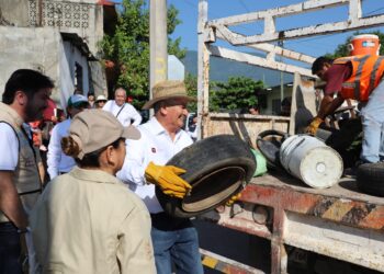Fortalece la SS acciones contra el dengue en Tamaulipas, pide apoyo social para eliminar criaderos