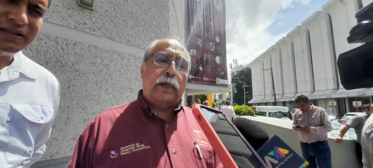 Revisará gobierno de Tamaulipas petición de sorgueros de apoyo en efectivo, además de semilla o diésel