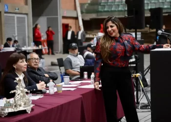 La reforma es para instaurar una justicia populista y autoritaria que estará al servicio del poder: Lorena Piñón