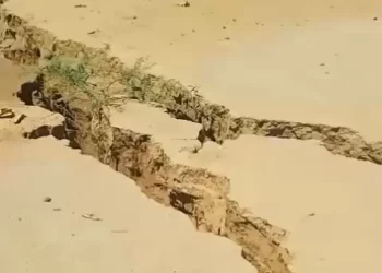 Enorme grieta se ‘traga’ a unos becerros en Sonora