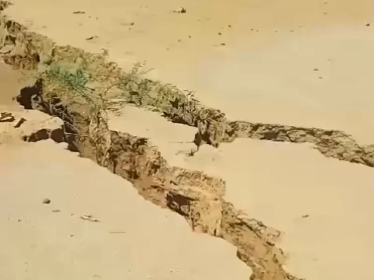 Enorme grieta se ‘traga’ a unos becerros en Sonora