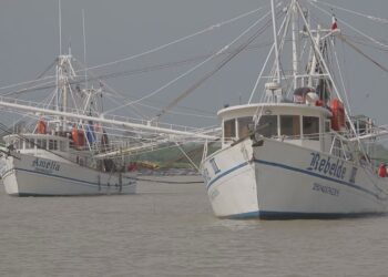 Arranca temporada de captura de camarón en alta mar en costas de Tamaulipas