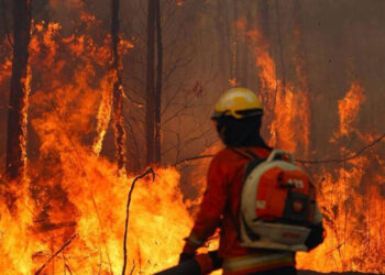 Bolivia declara ‘desastre nacional’ por incendios forestales