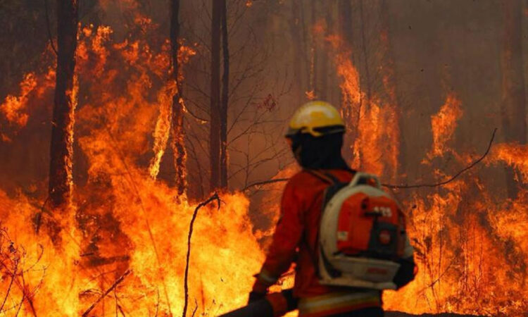 Bolivia declara ‘desastre nacional’ por incendios forestales
