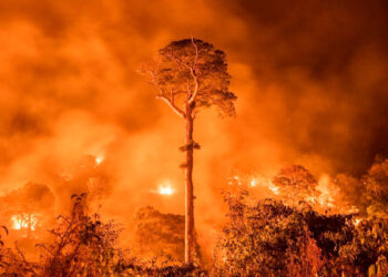 Países de Suramérica sufren impacto por incendios en Amazonía
