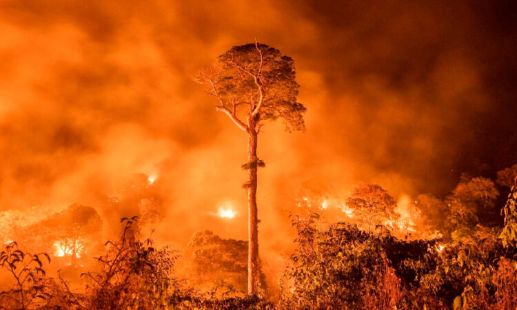 Países de Suramérica sufren impacto por incendios en Amazonía