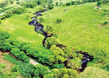 Derrame de petroleo en Papantla deja 10 km de arroyo contaminado