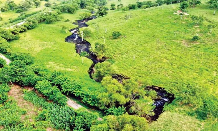 Derrame de petroleo en Papantla deja 10 km de arroyo contaminado