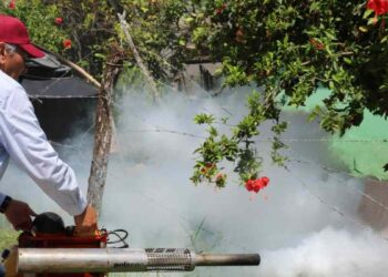 Brigadas de salud ya fumigan escuelas en riesgo de dengue en Ciudad Victoria