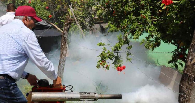 Brigadas de salud ya fumigan escuelas en riesgo de dengue en Ciudad Victoria
