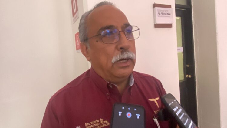 Refuerzan cerco sanitario a ganado procedente de Nuevo León en frontera de Tamaulipas