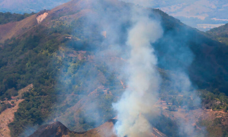 El fuego arrasa más de 12.000 hectáreas de bosques en Colombia, que lidia con 20 incendios