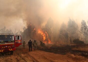Detienen a un segundo sospechoso por los incendios en Quito