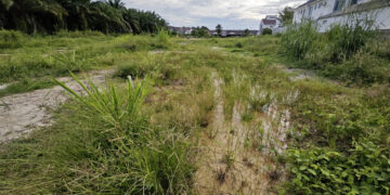 Terrenos baldíos en Ciudad Victoria, un foco para el dengue
