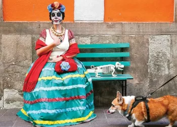 Inicia el 52 Festival Internacional Cervantino en Guanajuato; Brasil y Oaxaca los invitados