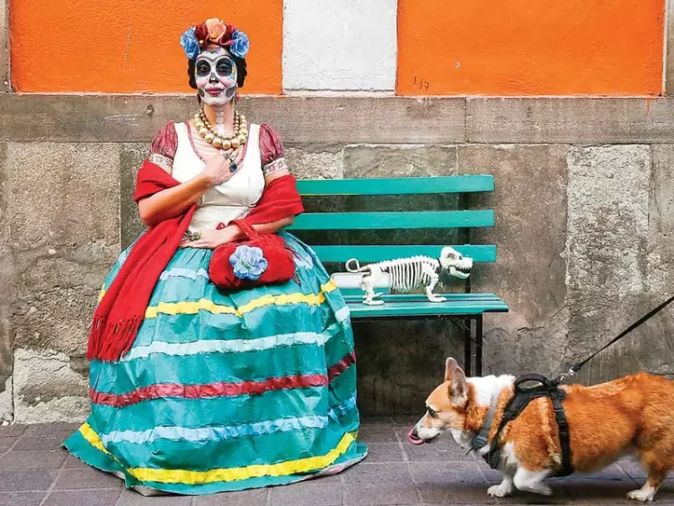 Inicia el 52 Festival Internacional Cervantino en Guanajuato; Brasil y Oaxaca los invitados