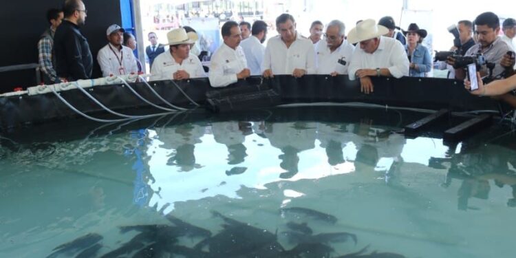 Reconocen ganaderos de Tamaulipas sólido respaldo del gobernador Américo Villarreal