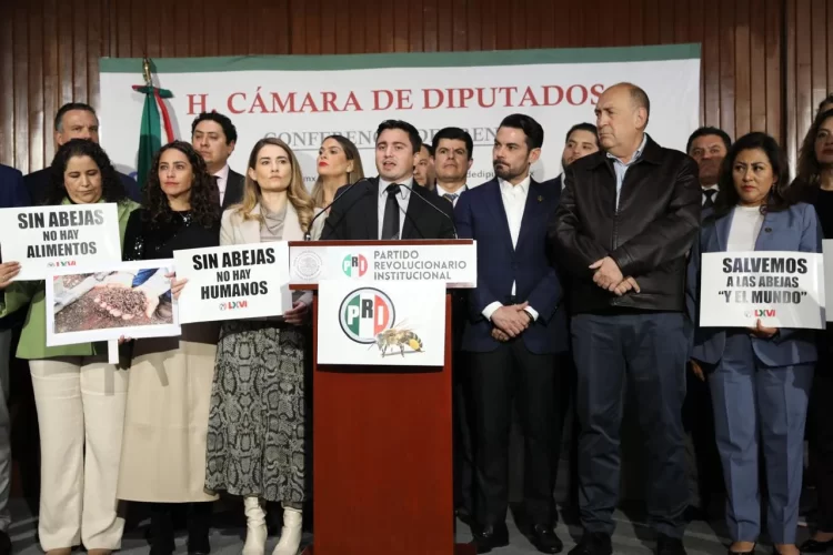 Denuncian Diputados Federales del PRI muerte masiva de abejas por efecto de pesticidas