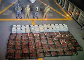 Marinos decomisan 8 mil 361 kilogramos de droga en las costas de Michoacán