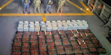 Marinos decomisan 8 mil 361 kilogramos de droga en las costas de Michoacán
