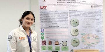 Alumna de la UAT estudia el potencial antimicrobiano de la vaina de mezquite