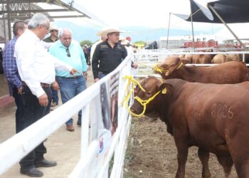 Realizan evento de mejoramiento genético en marco de la Exposición Ganadera de la Feria Tamaulipas 2024