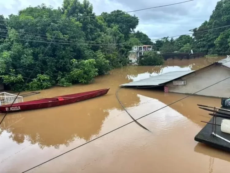Casas quedan bajo el agua tras desbordamiento de ríos en Veracruz