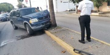 Mujer pierde control del volante y estrella camioneta en una palmera en Oaxaca y 16