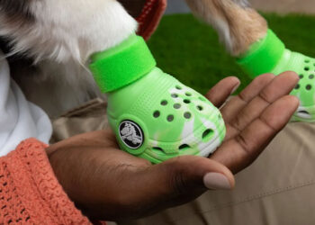 Crocs lanza nueva línea de botines para mascotas