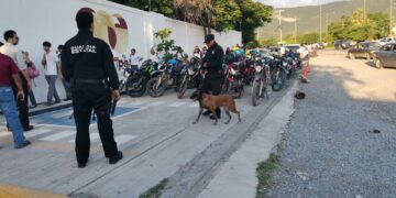 Con binomios caninos, realizan “operación mochila” en el ITACE de Cd. Vctoria