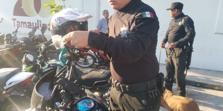 Con binomios caninos, realizan “operación mochila” en el ITACE de Cd. Vctoria