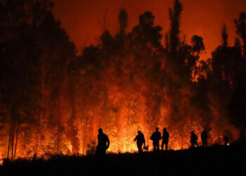Aumenta a 41 el número de detenidos por provocar incendios en São Paulo