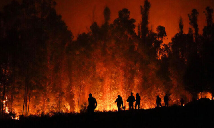 Aumenta a 41 el número de detenidos por provocar incendios en São Paulo