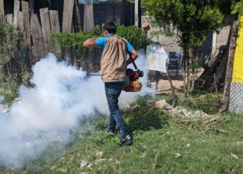 Mantiene Salud acciones contra el dengue