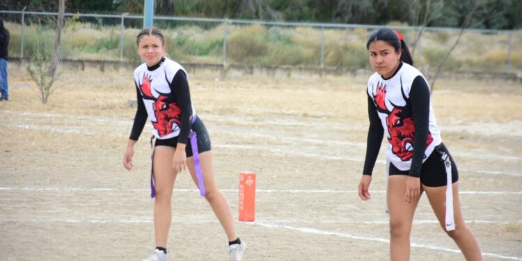 Realizan Festival del Desierto y torneo Tochito en Tula