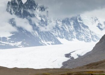 Antártida cambia de color debido al deshielo y preocupante crecimiento de vegetación