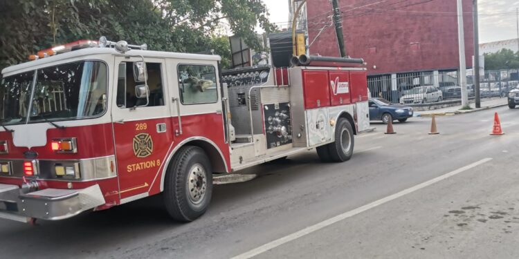 Cae árbol seco de la Casa del Arte sobre avenida Juan B. Tijerina (8) en centro de Cd. Victoria.