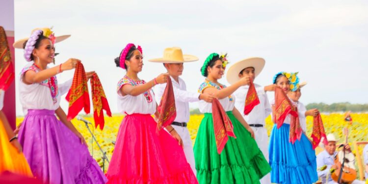 Reconoce labor productores de girasol en campos de González, Tamaulipas
