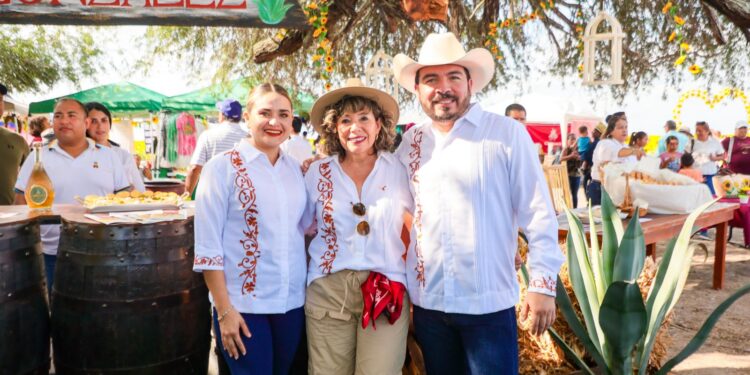 Reconoce labor productores de girasol en campos de González, Tamaulipas
