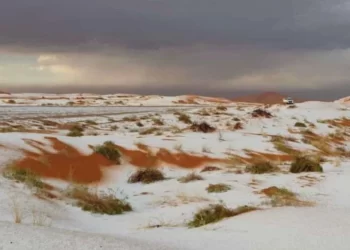 Nieve en el desierto de Arabia Saudita sorprende a meteorólogos
