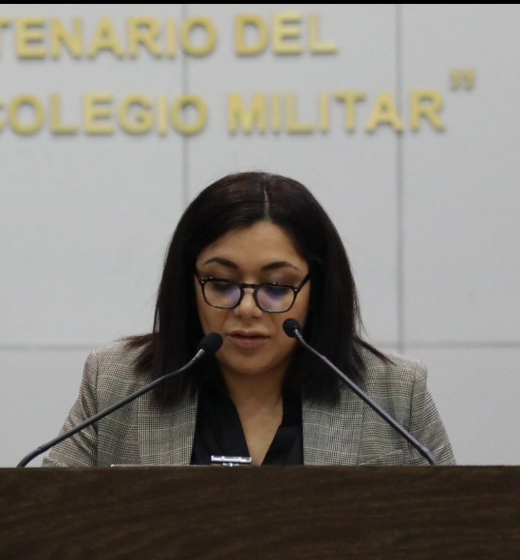 Exhortan Diputados a Poderes Ejecutivo y Judicial a sumarse a “noviembre naranja”