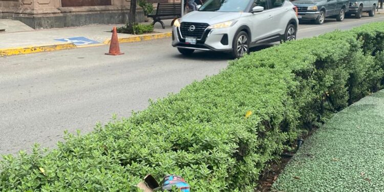 Camellón peatonal de Avenida Francisco I. Madero (17): Bello paseo y malos paseantes
