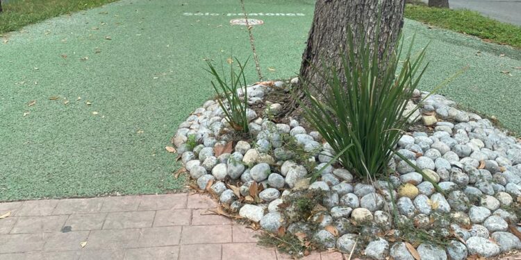 Camellón peatonal de Avenida Francisco I. Madero (17): Bello paseo y malos paseantes