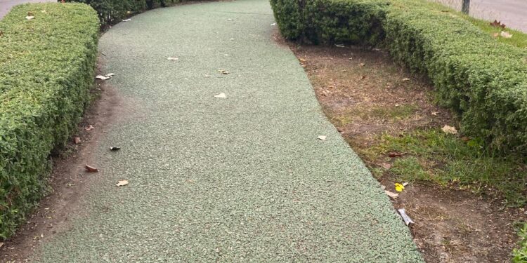 Camellón peatonal de Avenida Francisco I. Madero (17): Bello paseo y malos paseantes