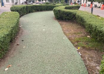 Camellón peatonal de Avenida Francisco I. Madero (17): Bello paseo y malos paseantes