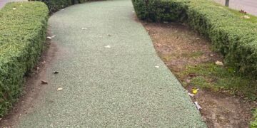 Camellón peatonal de Avenida Francisco I. Madero (17): Bello paseo y malos paseantes