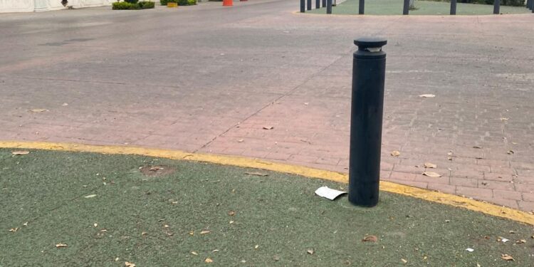 Camellón peatonal de Avenida Francisco I. Madero (17): Bello paseo y malos paseantes