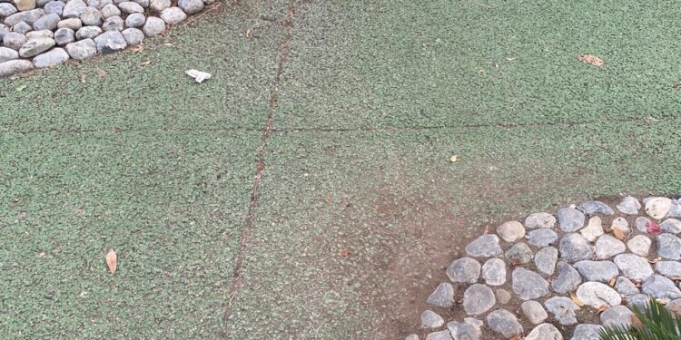 Camellón peatonal de Avenida Francisco I. Madero (17): Bello paseo y malos paseantes