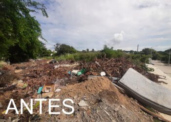 Eliminan basurero clandestino de una hectárea en calles Tancol y Herradura de Tampico